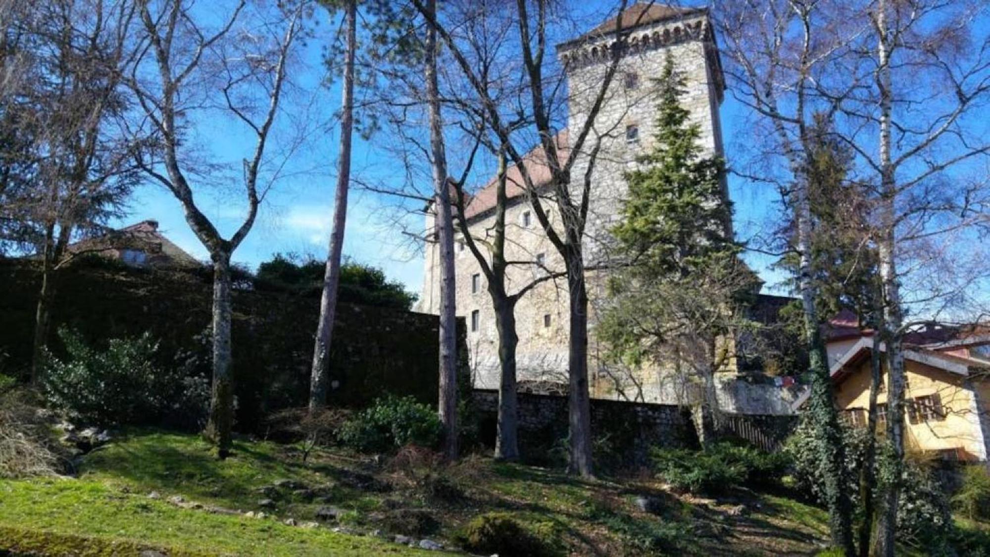 Lodge & Castle - Vue Chateau - Climatisation - Majord'Home Annecy Exterior photo
